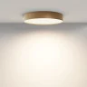 Потолочный светильник Maytoni Zon C032CL-45W3K-RD-MG