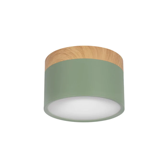 Накладной светильник LOFT IT 10162 Green