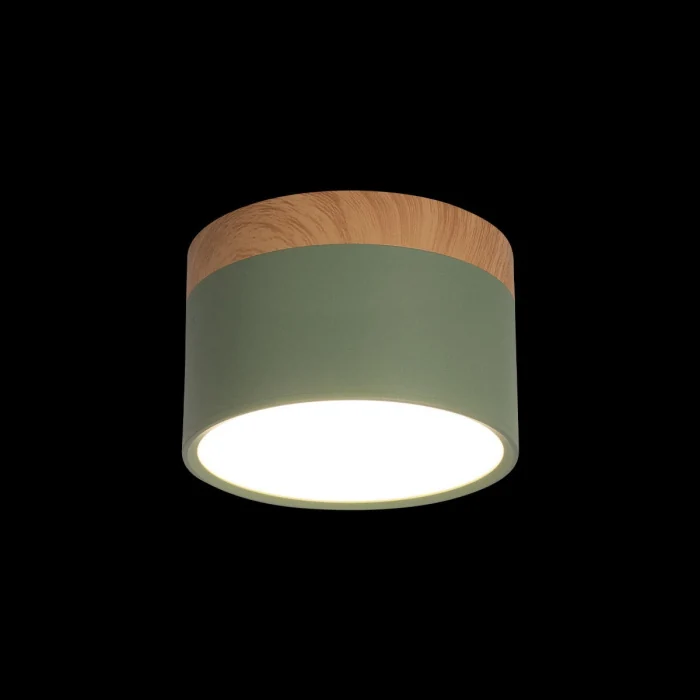 Накладной светильник LOFT IT 10162 Green