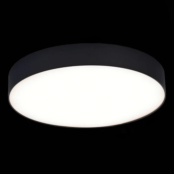 Накладной светильник ST LUCE ST606.442.48