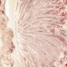 Подвесной светильник Freya Flower FR5579PL-L8BS