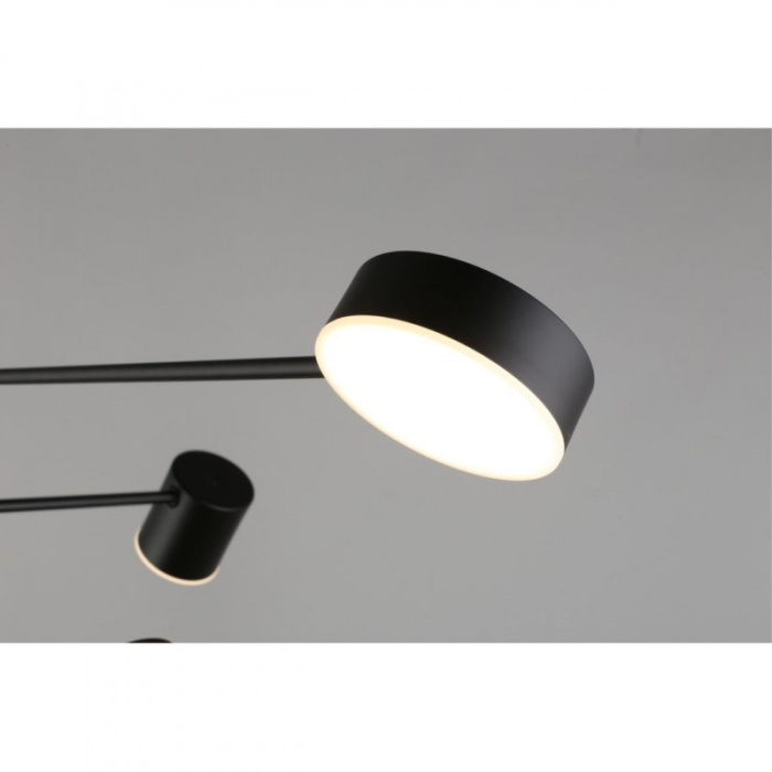 Люстра потолочная Aployt Frania APL.017.07.48