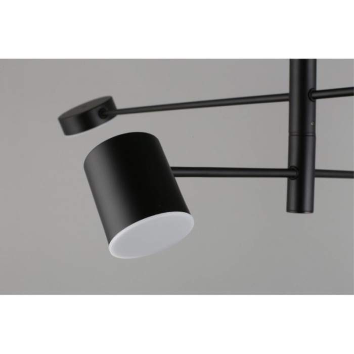 Люстра потолочная Aployt Frania APL.017.07.48