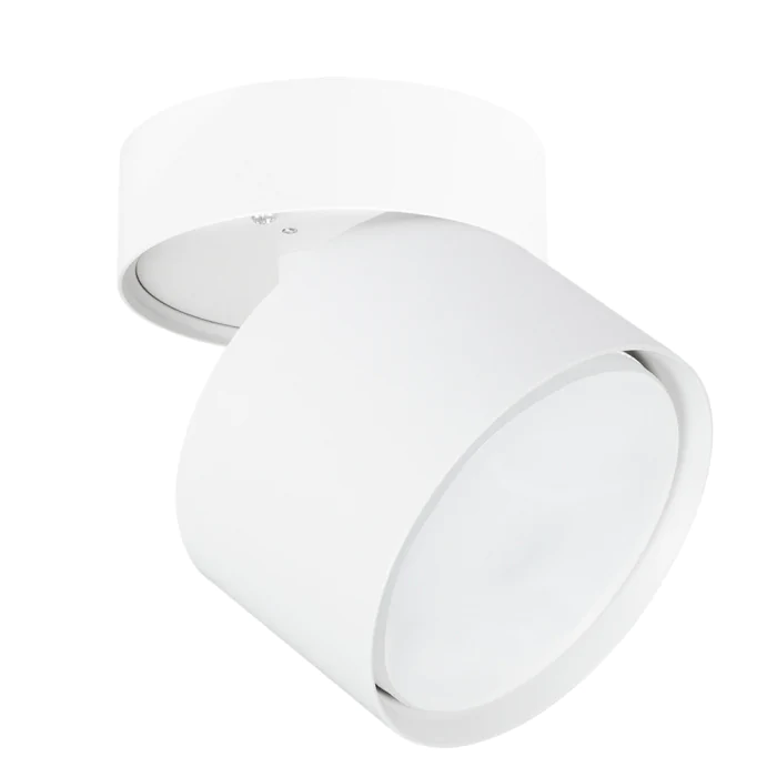 Светильник точечный накладной со сменной лампой Arte Lamp INTERCRUS A5549PL-1WH