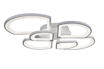 Потолочная люстра iLedex River 6882/6 WH