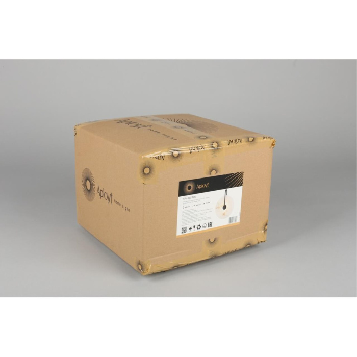 Светильник настенный Aployt Zhulen APL.322.11.05