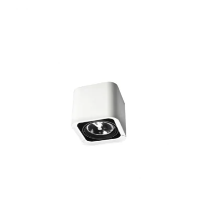 Потолочный светильник Leds C4 BACO DM-1100-14-00