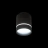 Светильник накладной Citilux Борн CL745011N