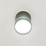 Светильник накладной Citilux Борн CL745011N