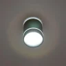 Светильник накладной Citilux Борн CL745011N