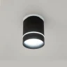 Светильник накладной Citilux Борн CL745011N
