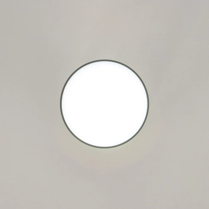 Светильник накладной Citilux Борн CL745011N