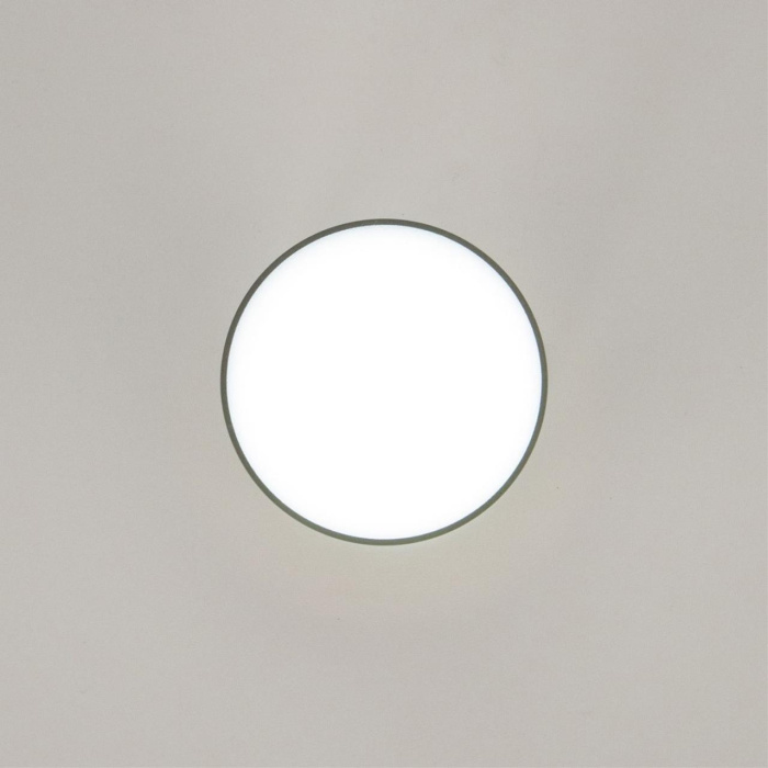 Светильник накладной Citilux Борн CL745011N