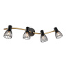 Настенно-потолочный спот в стиле лофт AMBRELLA light TR8662