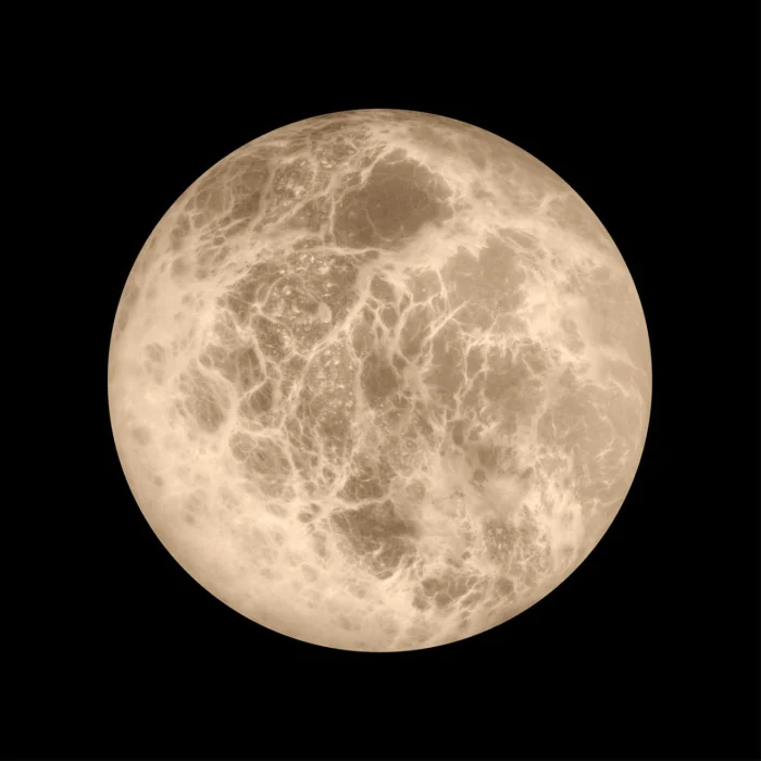 Настенный светильник Loft it Emi 10414W/M