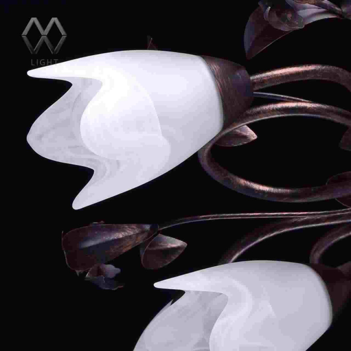 Люстра Аида MW-LIGHT 323013708