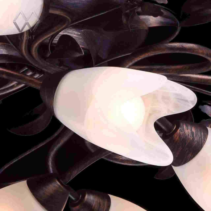 Люстра Аида MW-LIGHT 323013708