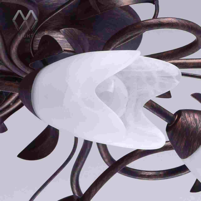 Люстра Аида MW-LIGHT 323013708