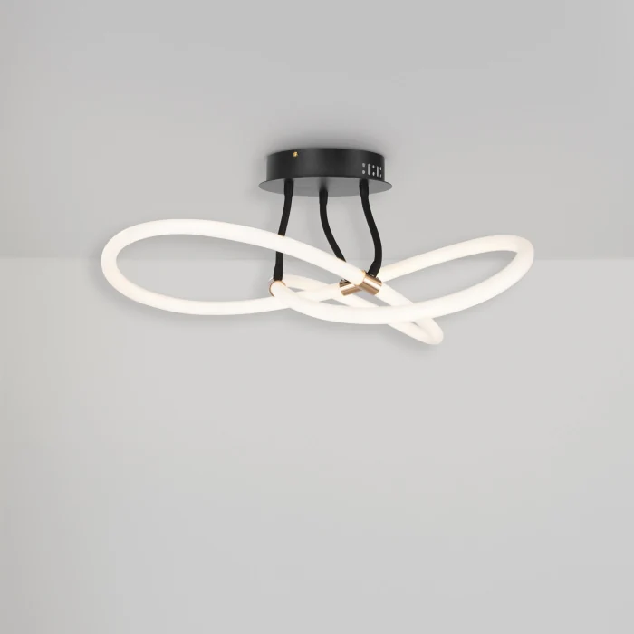 Потолочный светильник Freya Fancy FR6059CL-L35B