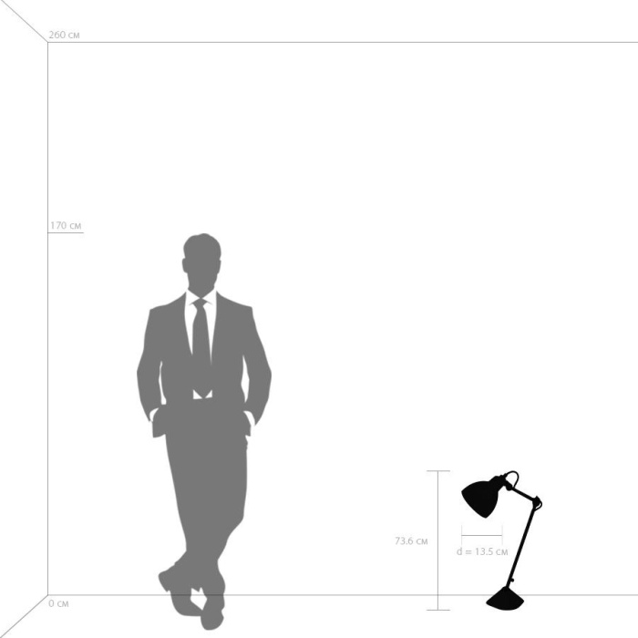 Настольная лампа LOFT LIGHTSTAR 865917