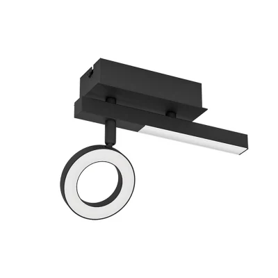 Спот CARDILLIO 2 EGLO 900513