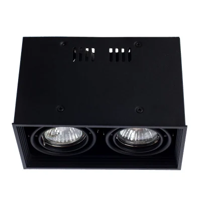 Накладной светильник Arte Lamp CARDANI PICCOLO A5942PL-2BK