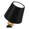Настольный светильник ST LUCE EASE SL1011.414.01