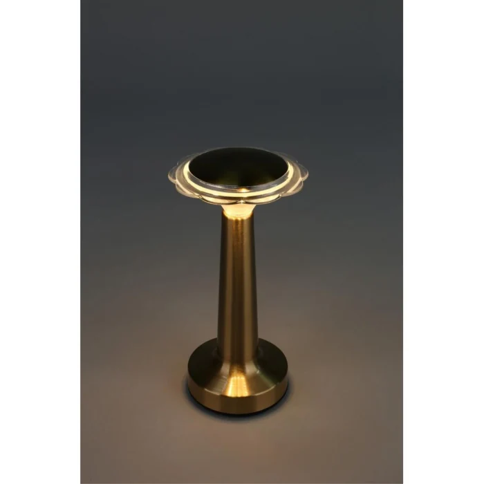 Настольная лампа Omnilux OML-40204-01