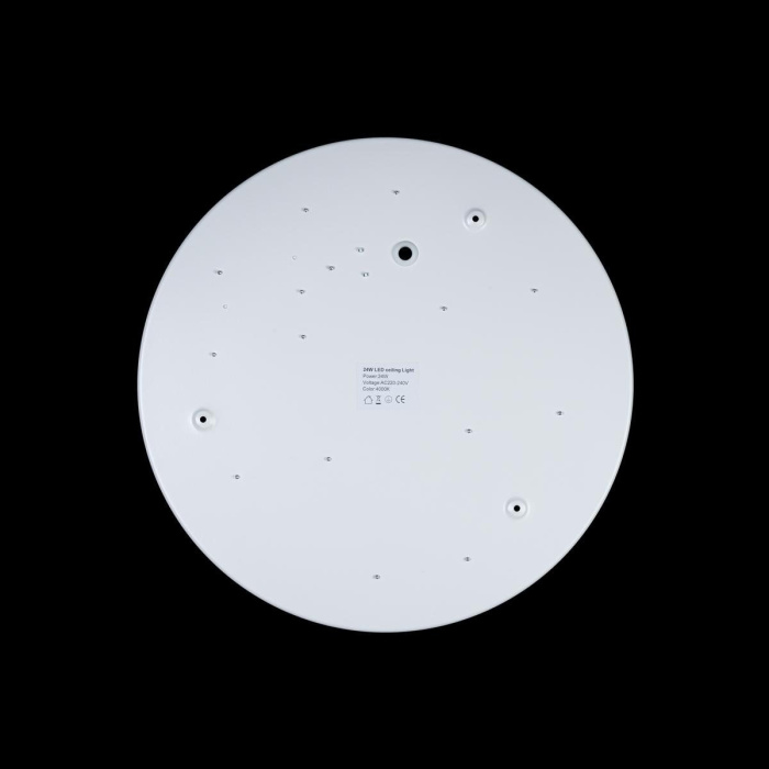 Светильник потолочный LOFTIT Axel 10003/24 White