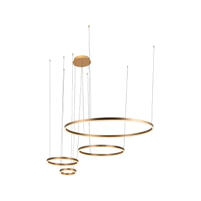 Светильник подвесной LOFTIT Ring 10017/4S