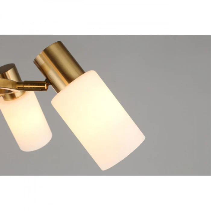 Люстра подвесная Omnilux Ales OML-69103-06