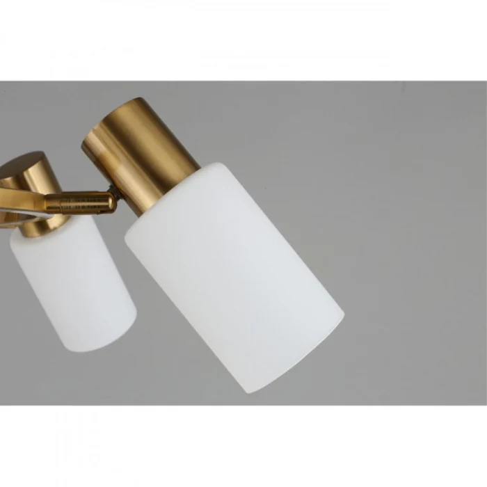 Люстра подвесная Omnilux Ales OML-69103-06