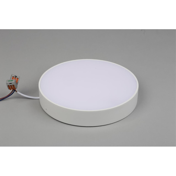 Светильник настенно-потолочный Aployt Evon APL.0114.09.24