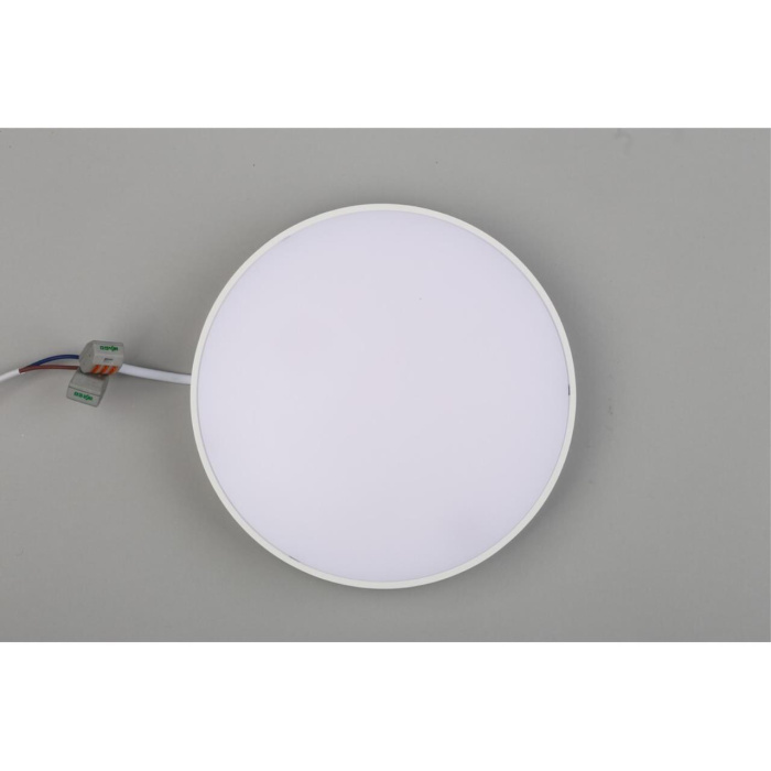 Светильник настенно-потолочный Aployt Evon APL.0114.09.24