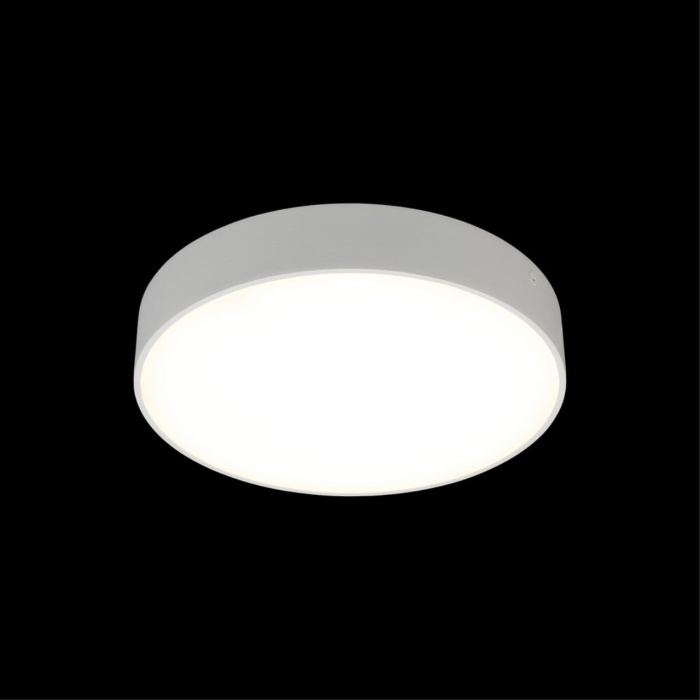 Светильник настенно-потолочный Aployt Evon APL.0114.09.24