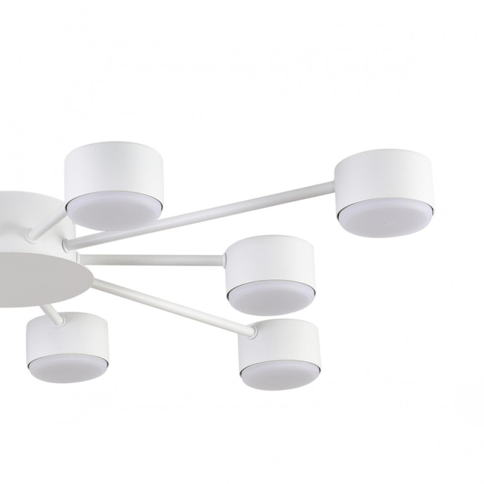 Люстра потолочная Lumion Torina 8343/10C