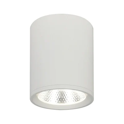 Потолочный светильник Escada 20003 20003SMU/02LED SWH