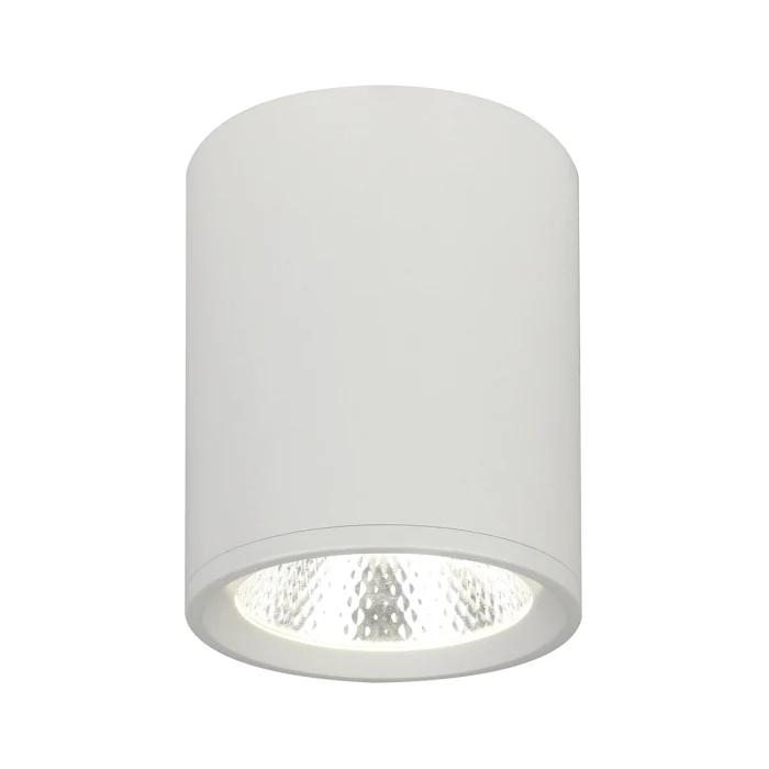 Потолочный светильник Escada 20003 20003SMU/02LED SWH