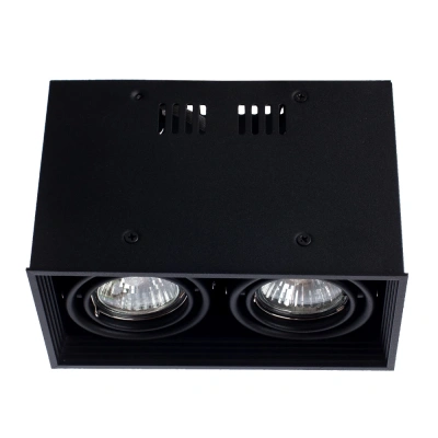 Накладной светильник Arte Lamp CARDANI PICCOLO A5942PL-2BK