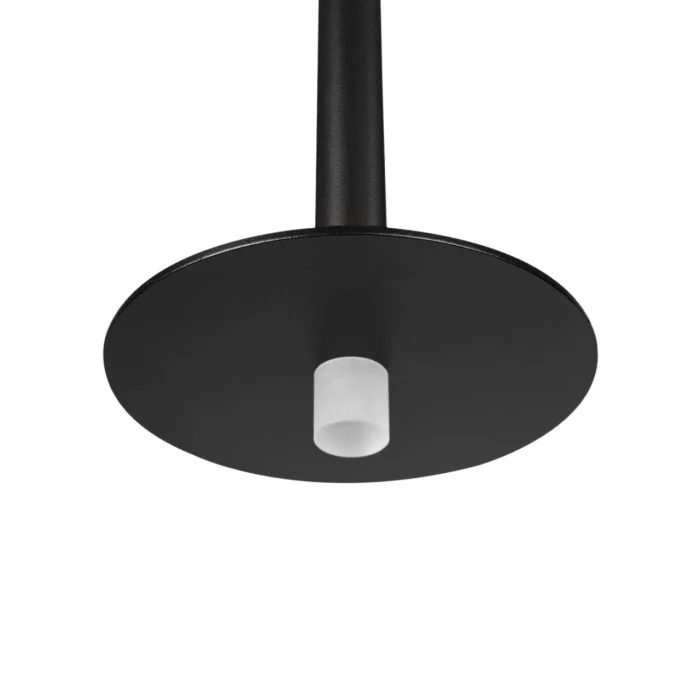 Подвесной светильник Loft it Reed 10358/830 Disk