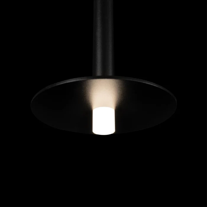 Подвесной светильник Loft it Reed 10358/830 Disk