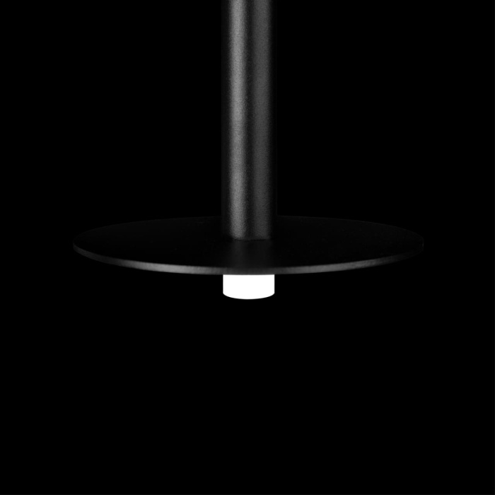 Подвесной светильник Loft it Reed 10358/830 Disk