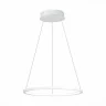 Светильник подвесной ST LUCE ST603.543.22