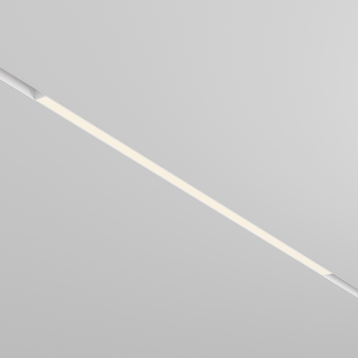 Трековый светильник Maytoni Basis TR030-2-30W3K-W