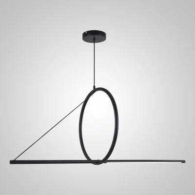 Подвесной светильник SUSPENSION CERCLE ET TRAIT – GRAPHITE SATINE L120 ImperiumLoft