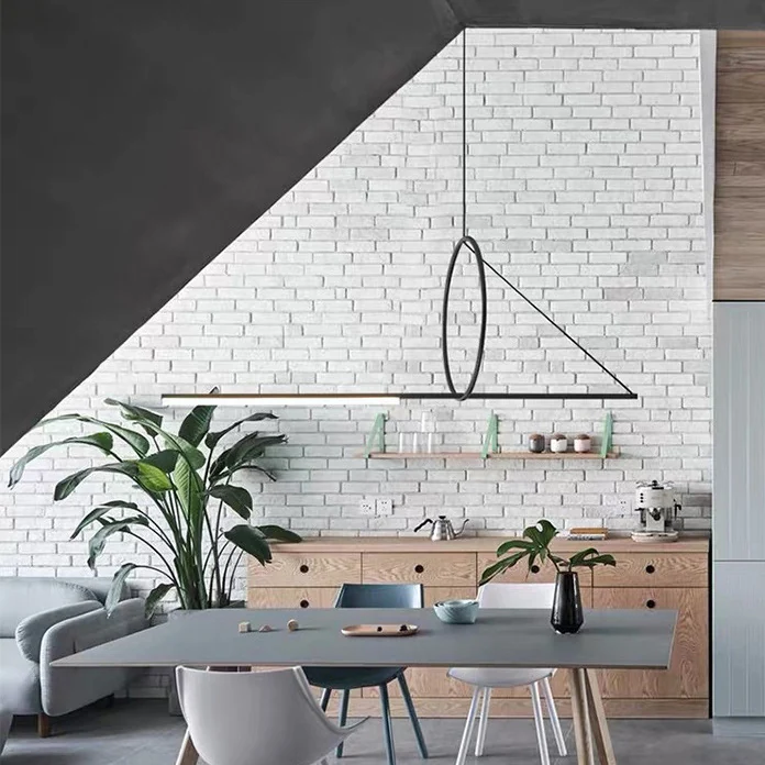 Подвесной светильник SUSPENSION CERCLE ET TRAIT – GRAPHITE SATINE L120 ImperiumLoft