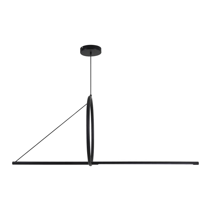Подвесной светильник SUSPENSION CERCLE ET TRAIT – GRAPHITE SATINE L120 ImperiumLoft
