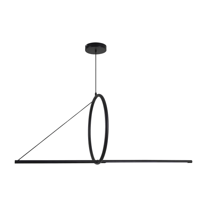 Подвесной светильник SUSPENSION CERCLE ET TRAIT – GRAPHITE SATINE L120 ImperiumLoft