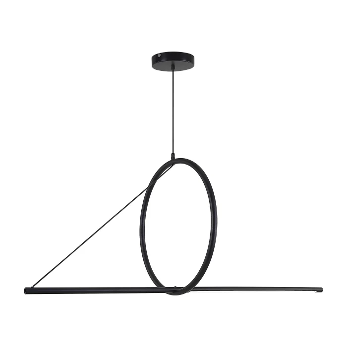 Подвесной светильник SUSPENSION CERCLE ET TRAIT – GRAPHITE SATINE L120 ImperiumLoft
