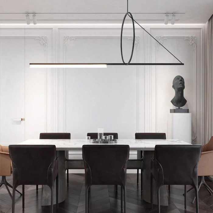 Подвесной светильник SUSPENSION CERCLE ET TRAIT – GRAPHITE SATINE L120 ImperiumLoft